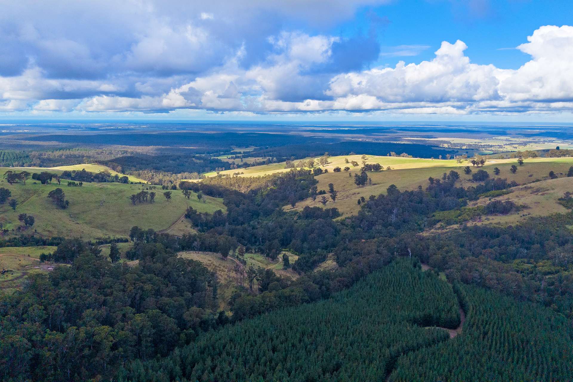 166 Bowdens Road, Won Wron For Sale by Farmbuy.com - image 15