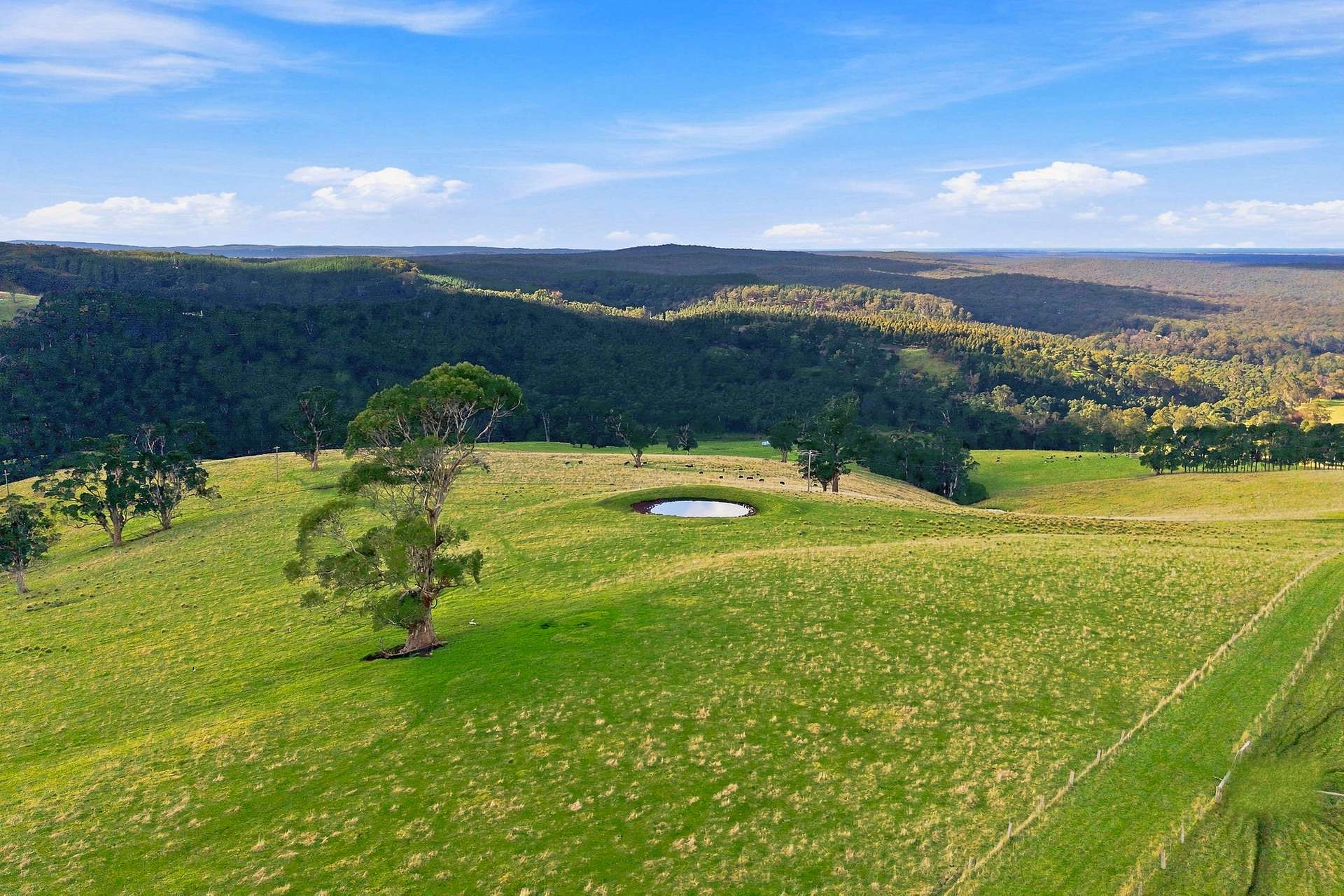 166 Bowdens Road, Won Wron For Sale by Farmbuy.com - image 18