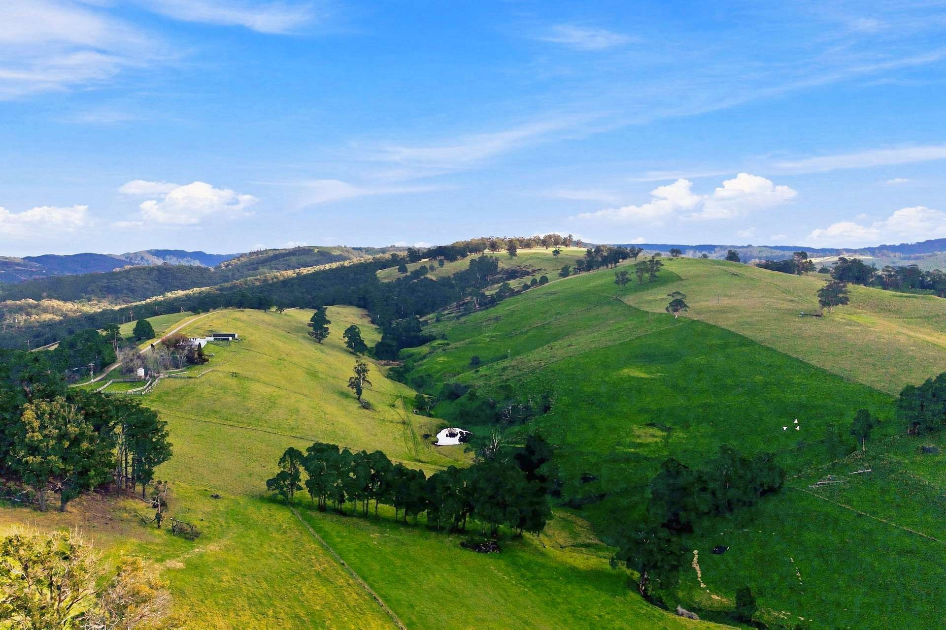 166 Bowdens Road, Won Wron For Sale by Farmbuy.com - image 12