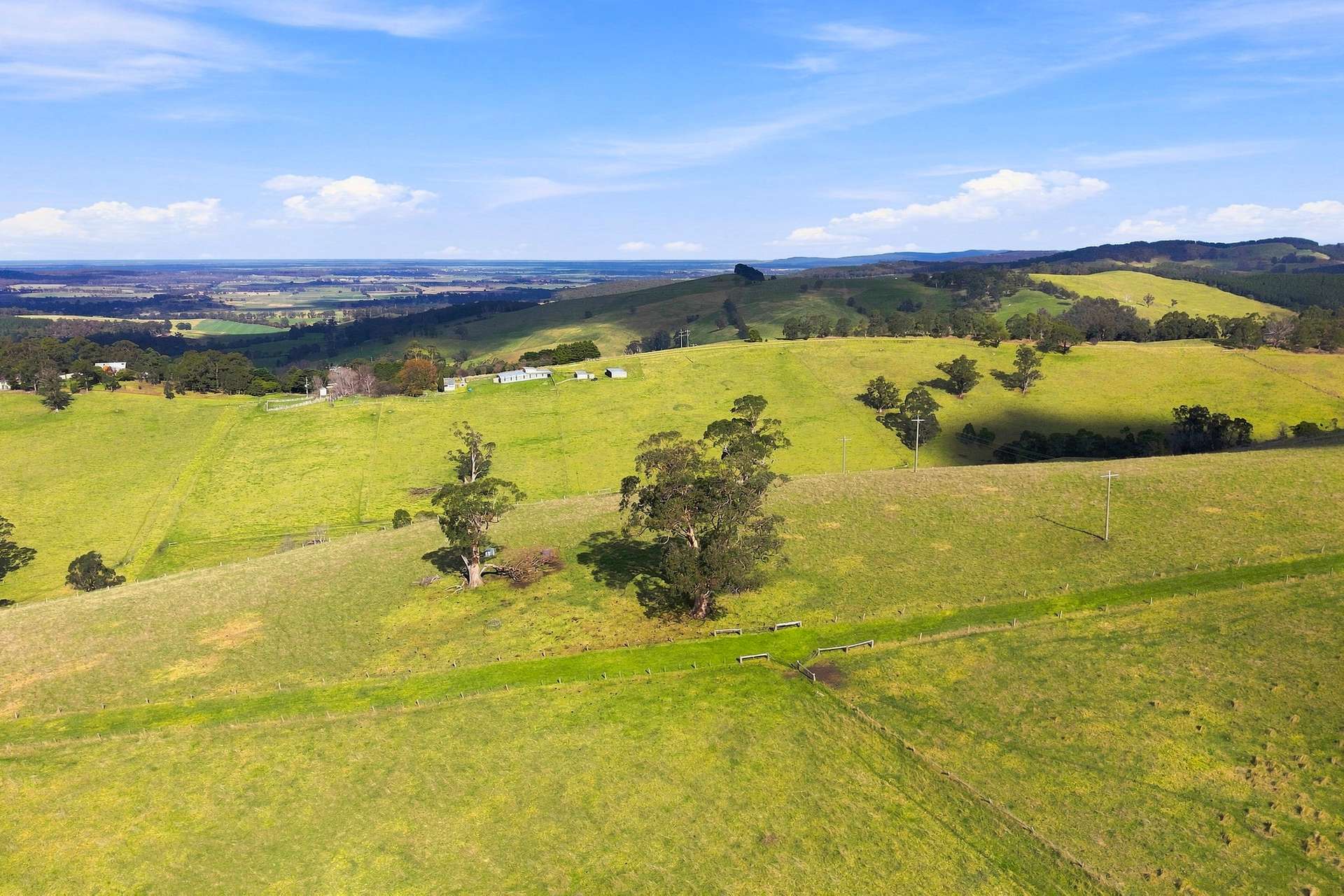 166 Bowdens Road, Won Wron For Sale by Farmbuy.com - image 3