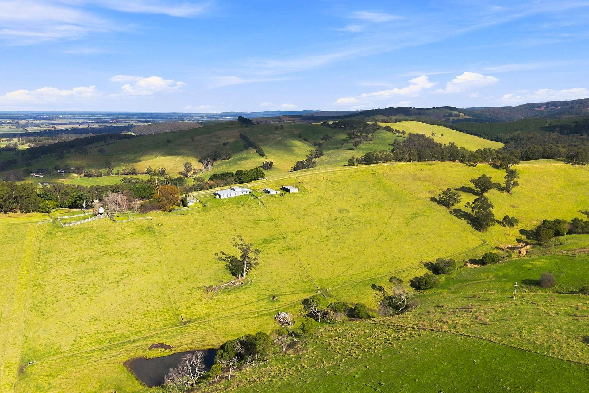 166 Bowdens Road, Won Wron For Sale by Farmbuy.com - image 2