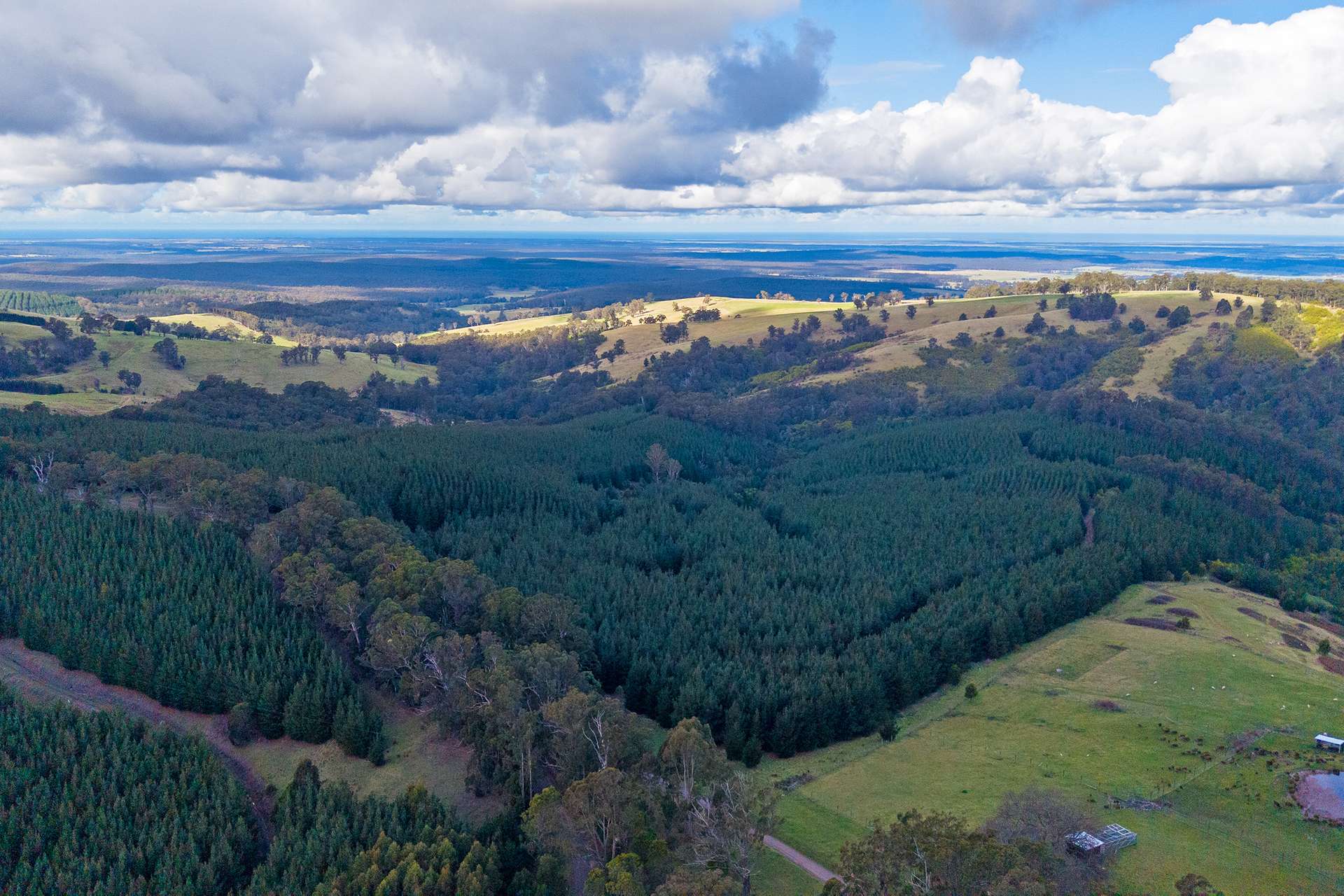 166 Bowdens Road, Won Wron For Sale by Farmbuy.com - image 17