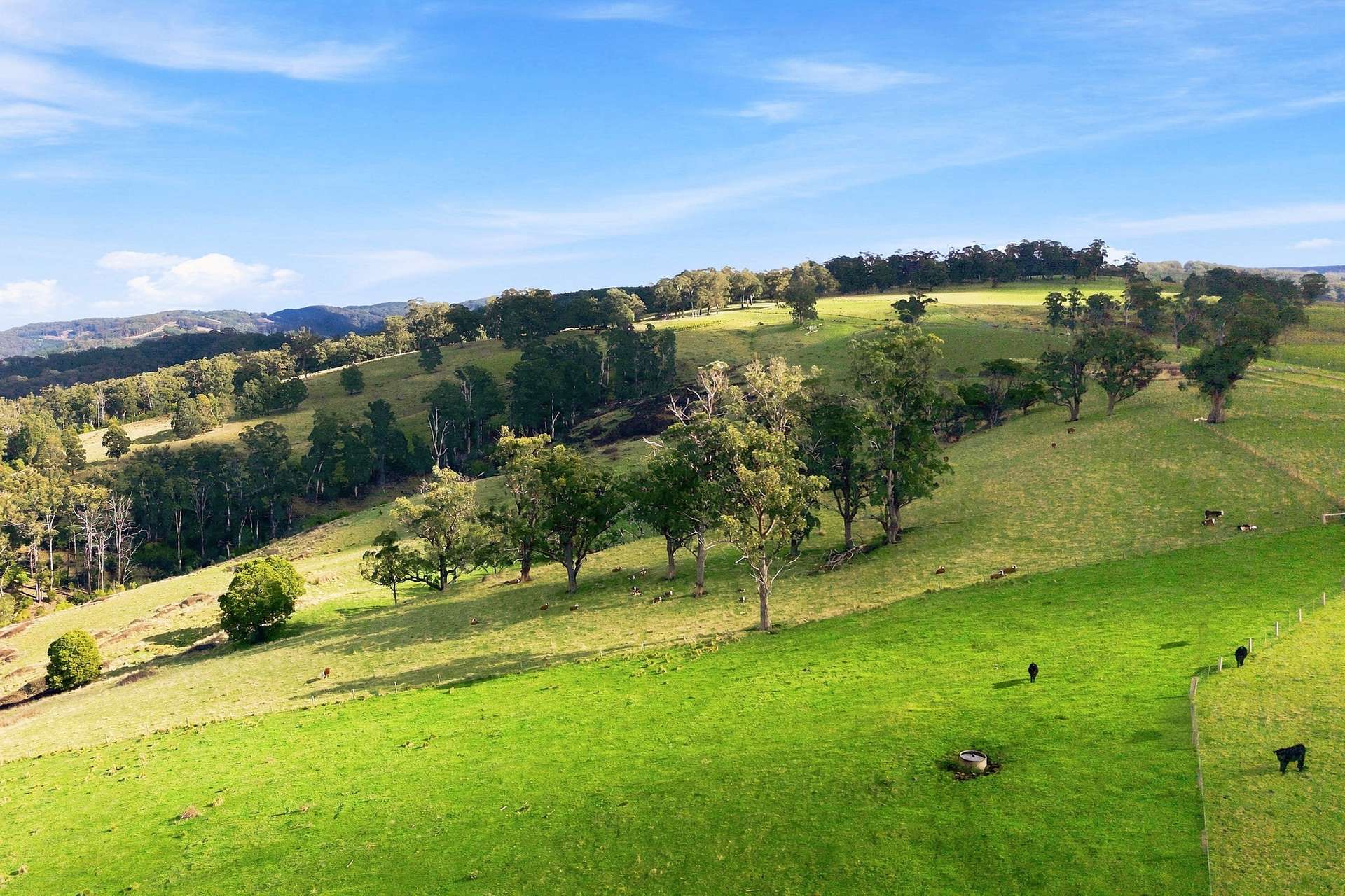 166 Bowdens Road, Won Wron For Sale by Farmbuy.com - image 13