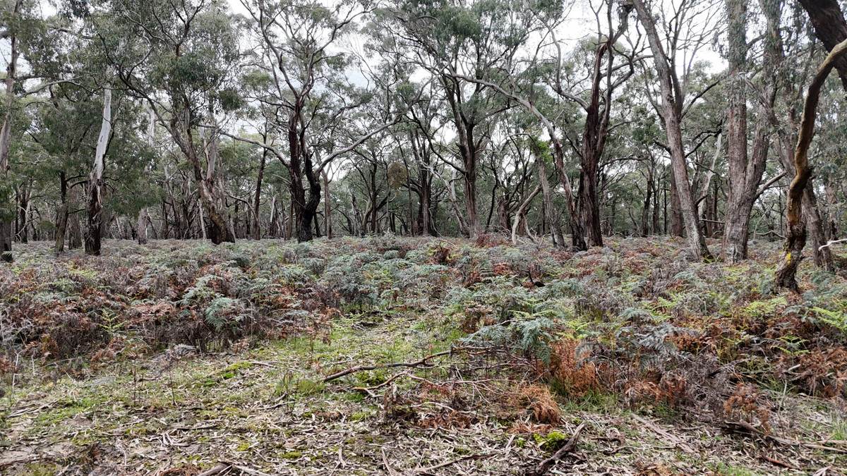 Lot A47\PP3752,  Tippetts Road, Mount Mercer For Sale by Farmbuy.com - image 10