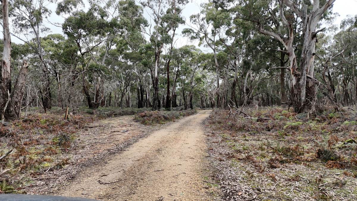 Lot A47\PP3752,  Tippetts Road, Mount Mercer For Sale by Farmbuy.com - image 9