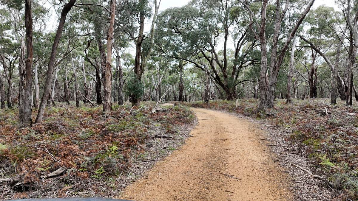 Lot A47\PP3752,  Tippetts Road, Mount Mercer For Sale by Farmbuy.com - image 3