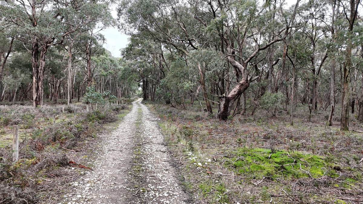 Lot A47\PP3752,  Tippetts Road, Mount Mercer For Sale by Farmbuy.com - image 2