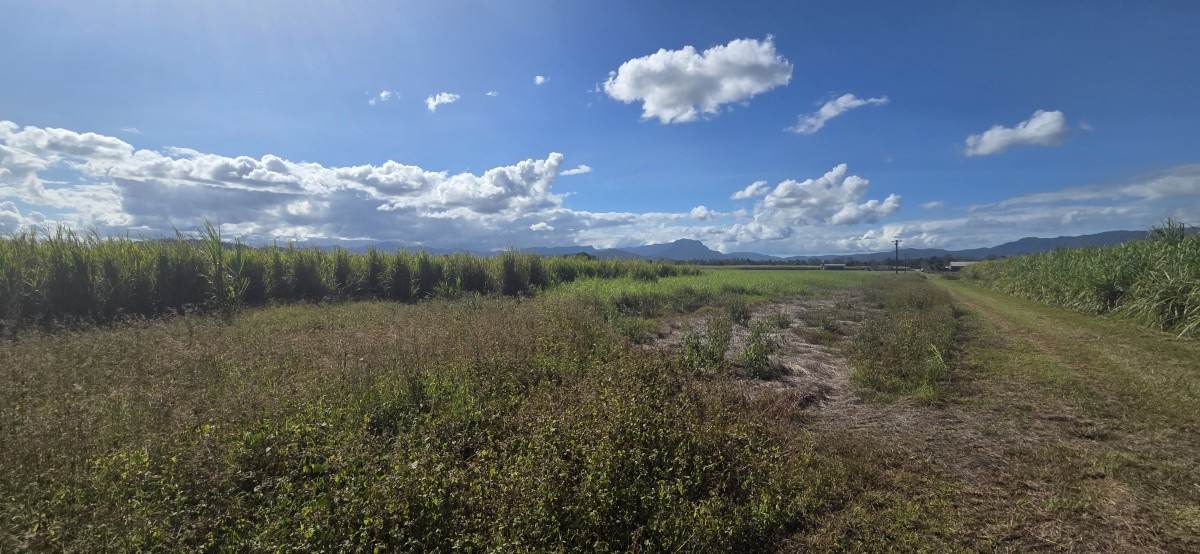 Lot 91 & 135,  Mancusos Road, Lannercost For Sale by Farmbuy.com - image 6