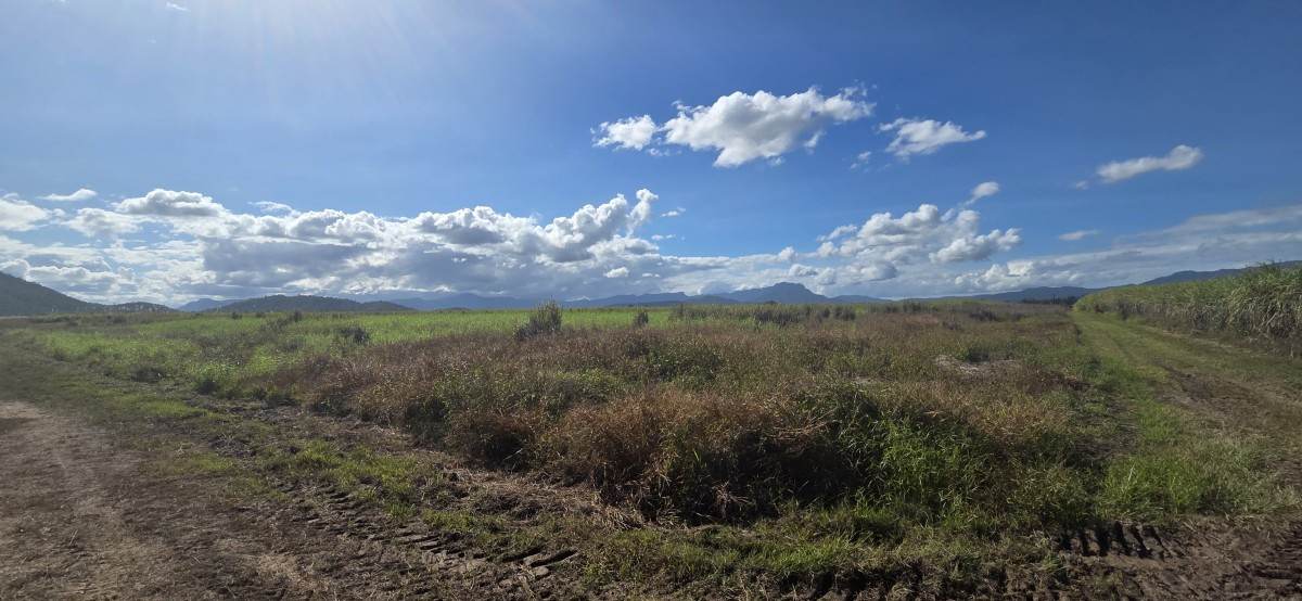 Lot 91 & 135,  Mancusos Road, Lannercost For Sale by Farmbuy.com - image 5