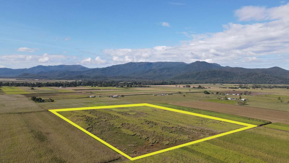 Lot 91 & 135,  Mancusos Road, Lannercost For Sale by Farmbuy.com - image 3