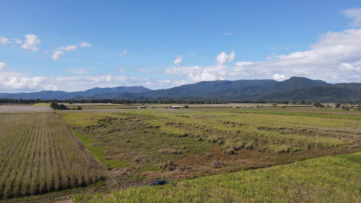 Lot 91 & 135,  Mancusos Road, Lannercost For Sale by Farmbuy.com - image 4