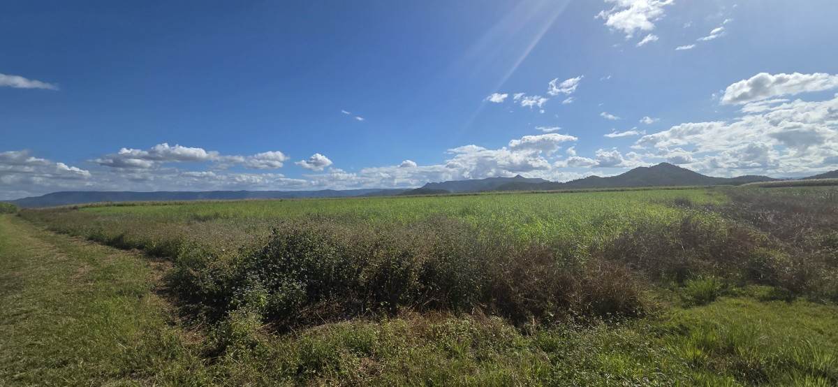 Lot 91 & 135,  Mancusos Road, Lannercost For Sale by Farmbuy.com - image 7