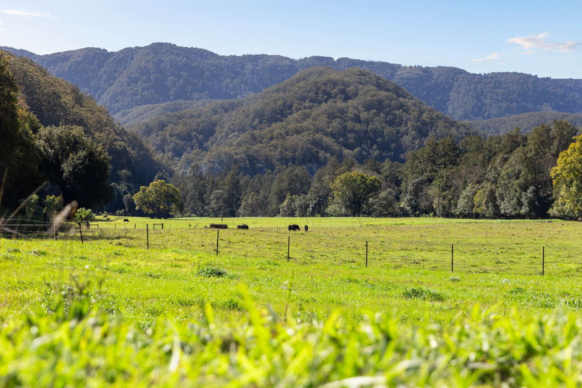 1627 Darkwood Road, Bellingen For Sale by Farmbuy.com - image 35