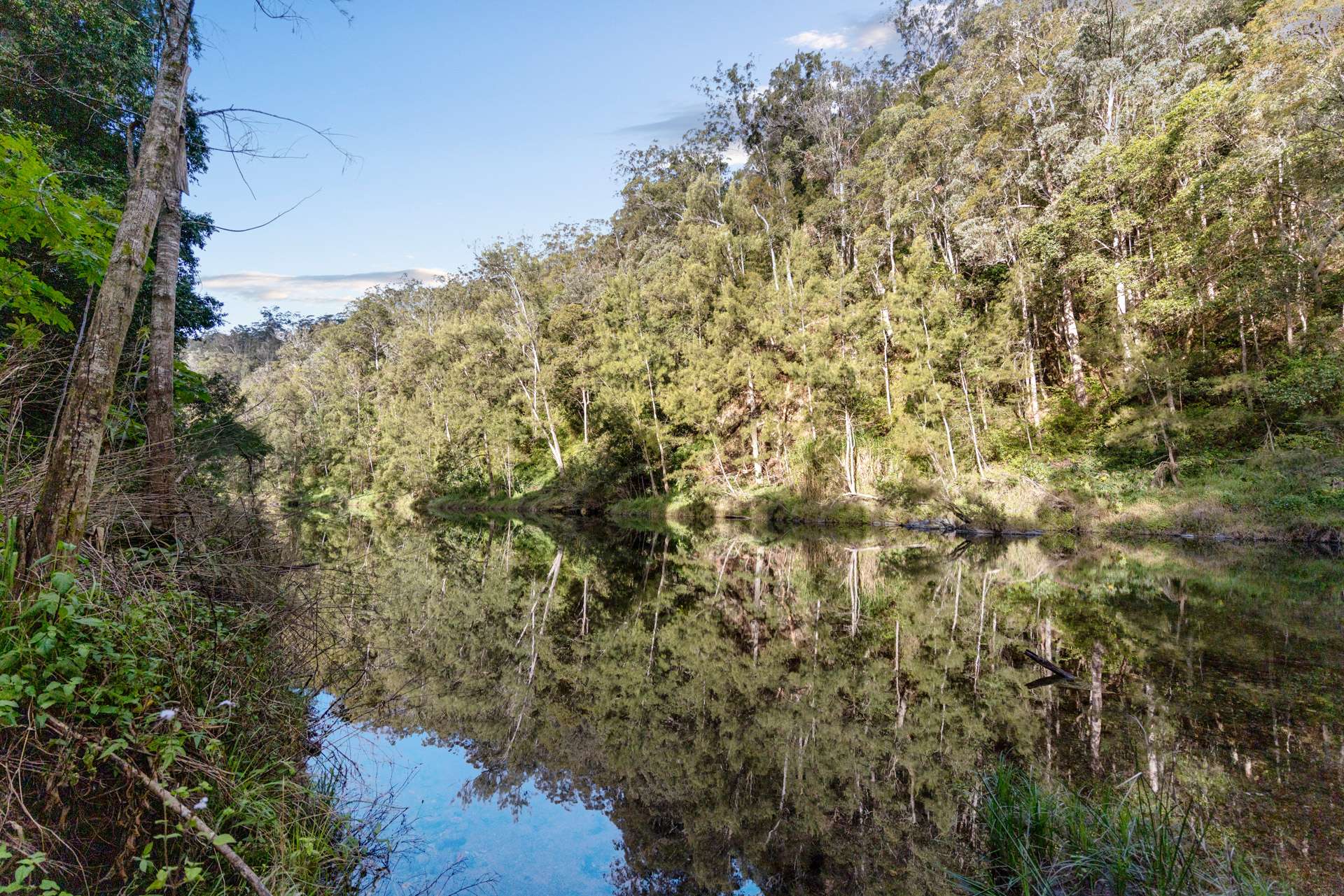 1627 Darkwood Road, Bellingen For Sale by Farmbuy.com - image 6