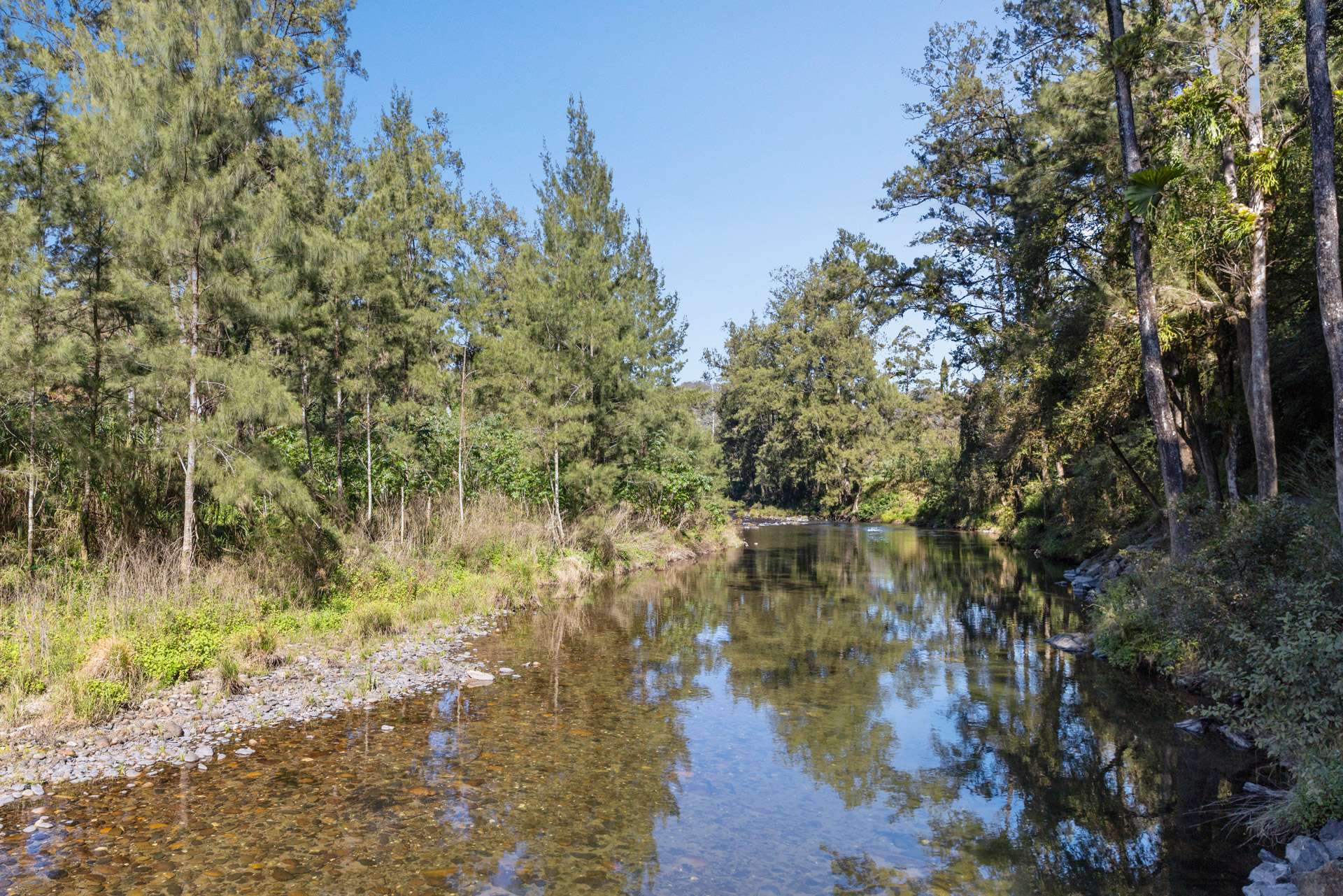 1627 Darkwood Road, Bellingen For Sale by Farmbuy.com - image 26