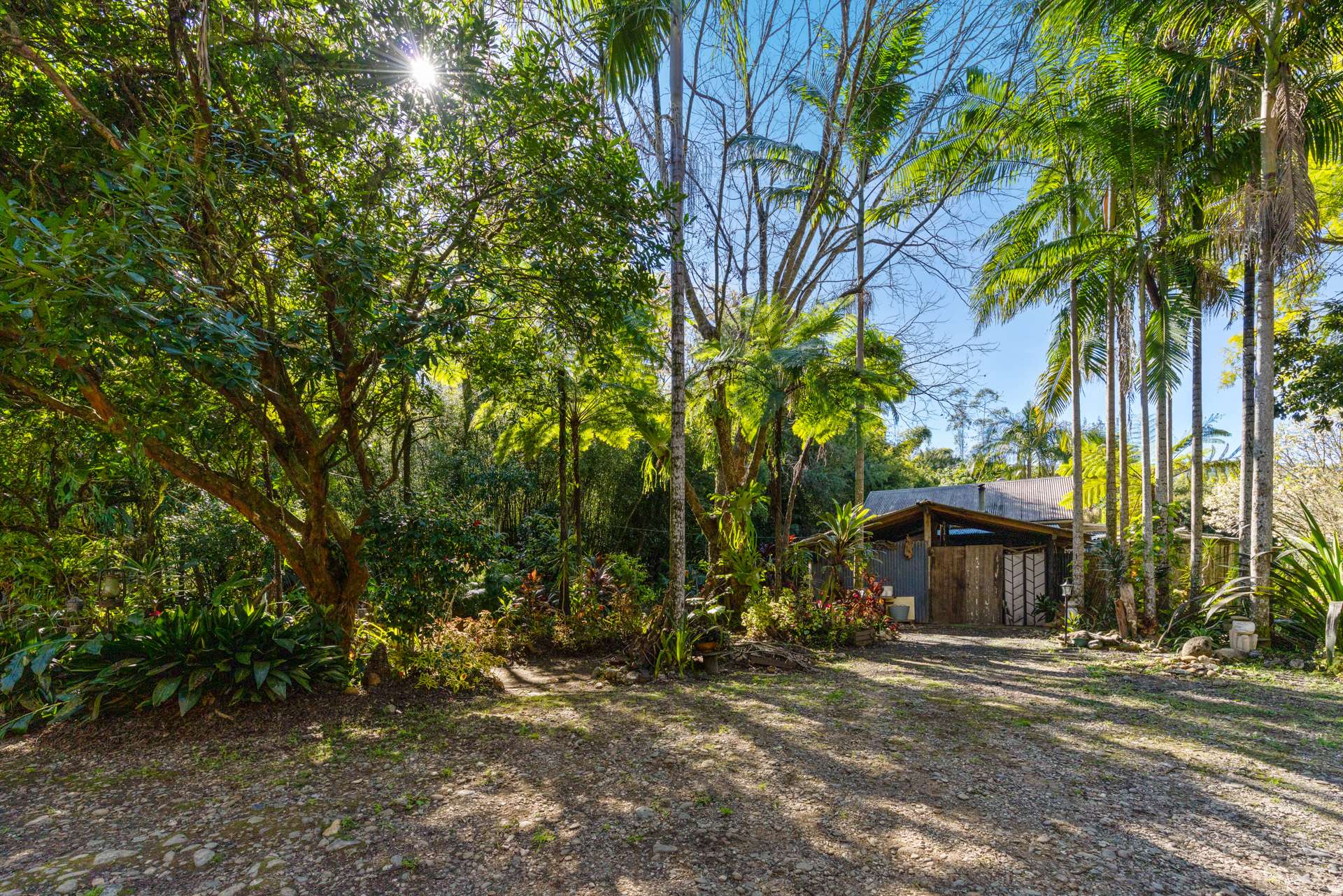 1627 Darkwood Road, Bellingen For Sale by Farmbuy.com - image 15
