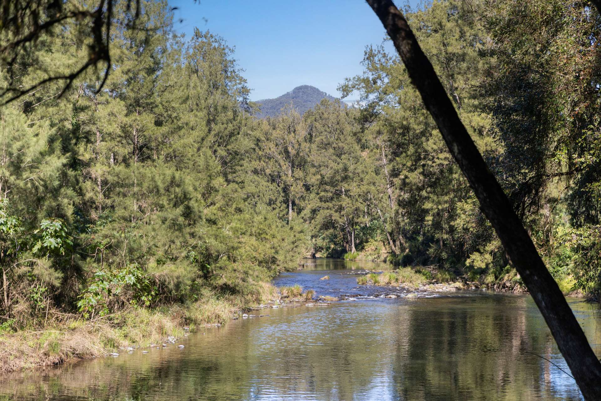 1627 Darkwood Road, Bellingen For Sale by Farmbuy.com - image 34