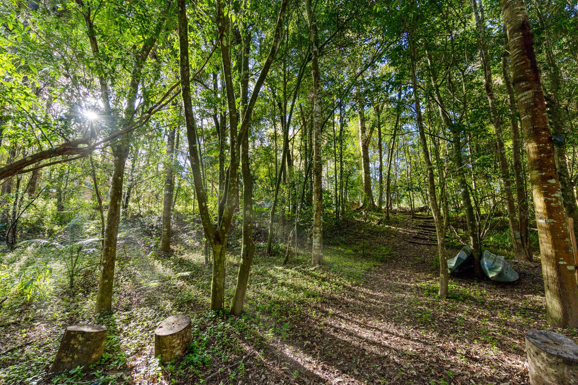 1627 Darkwood Road, Bellingen For Sale by Farmbuy.com - image 32