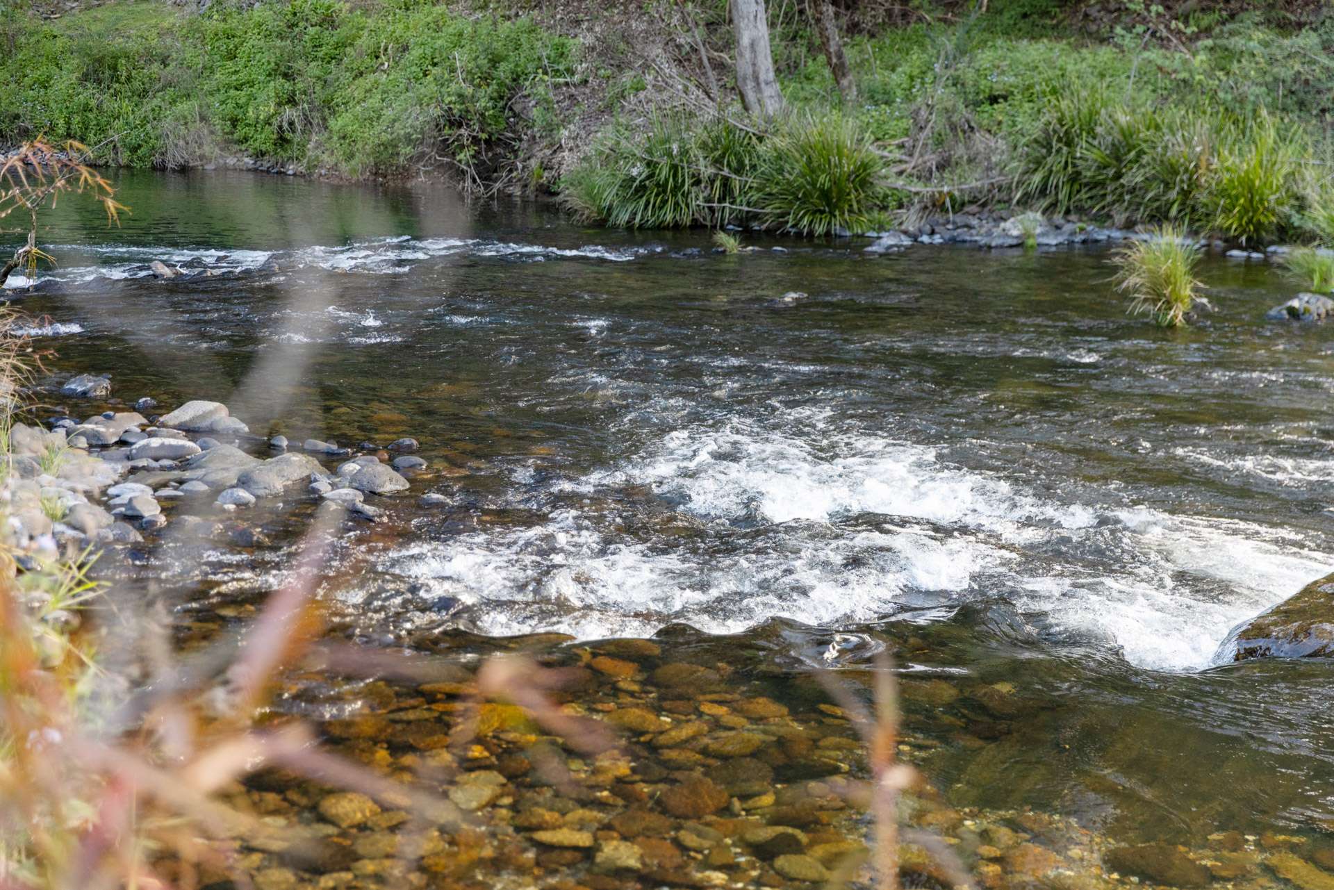 1627 Darkwood Road, Bellingen For Sale by Farmbuy.com - image 3