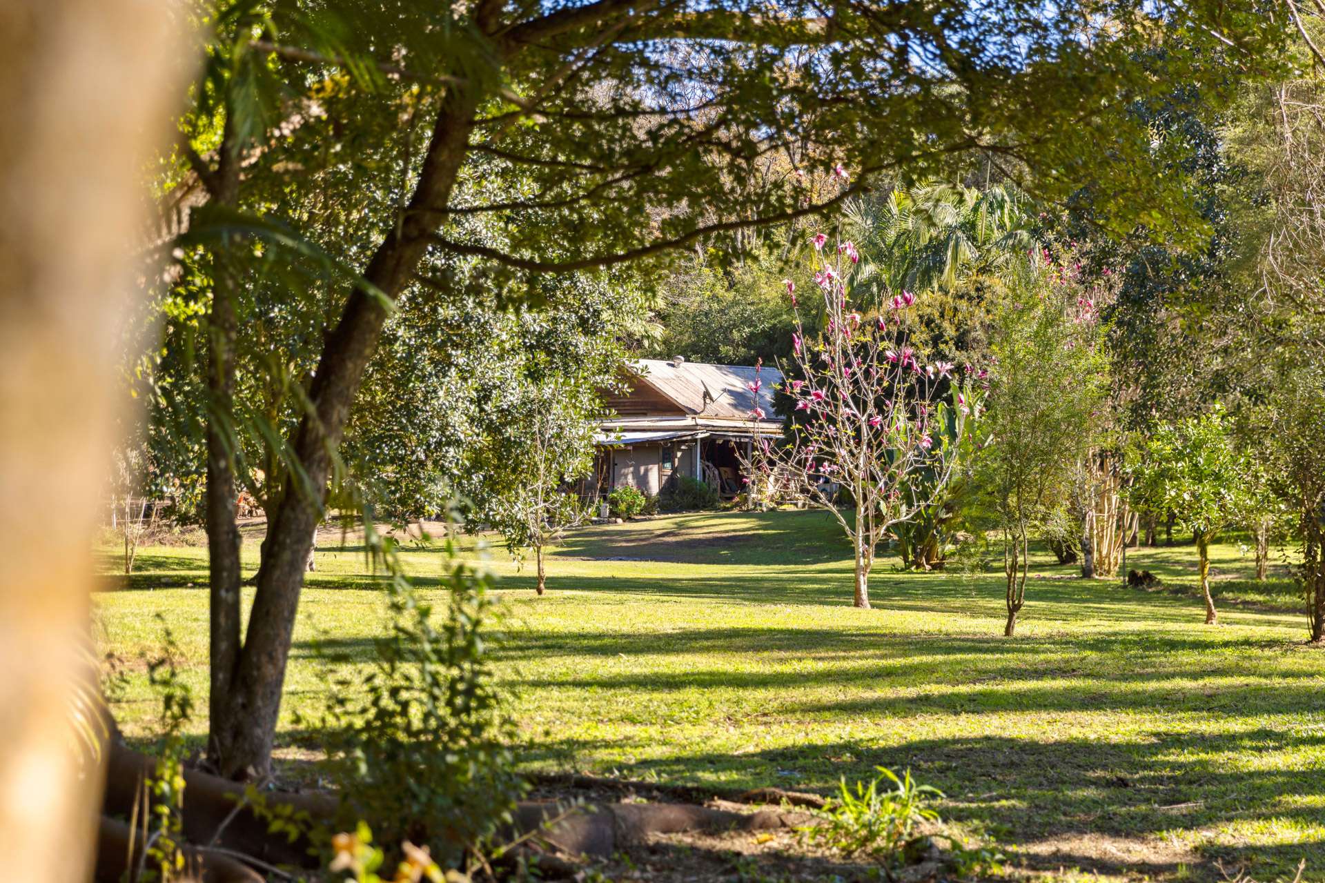 1627 Darkwood Road, Bellingen For Sale by Farmbuy.com - image 17