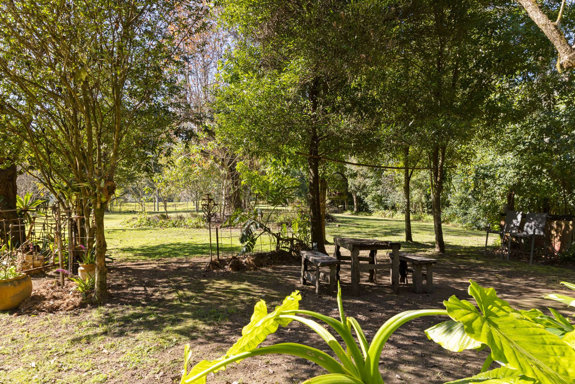 1627 Darkwood Road, Bellingen For Sale by Farmbuy.com - image 19