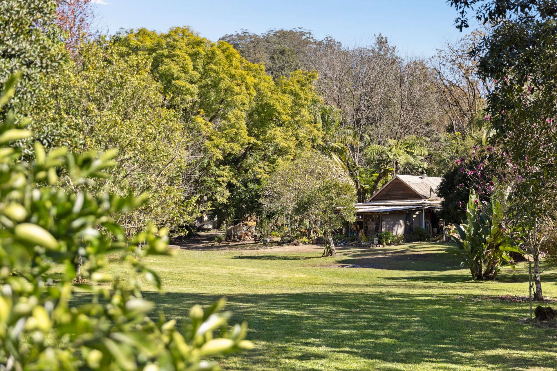 1627 Darkwood Road, Bellingen For Sale by Farmbuy.com - image 2