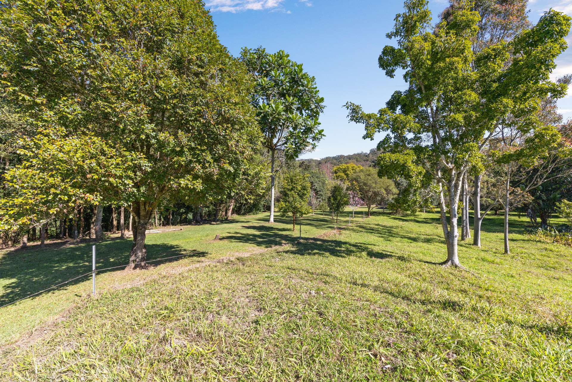 1627 Darkwood Road, Bellingen For Sale by Farmbuy.com - image 20