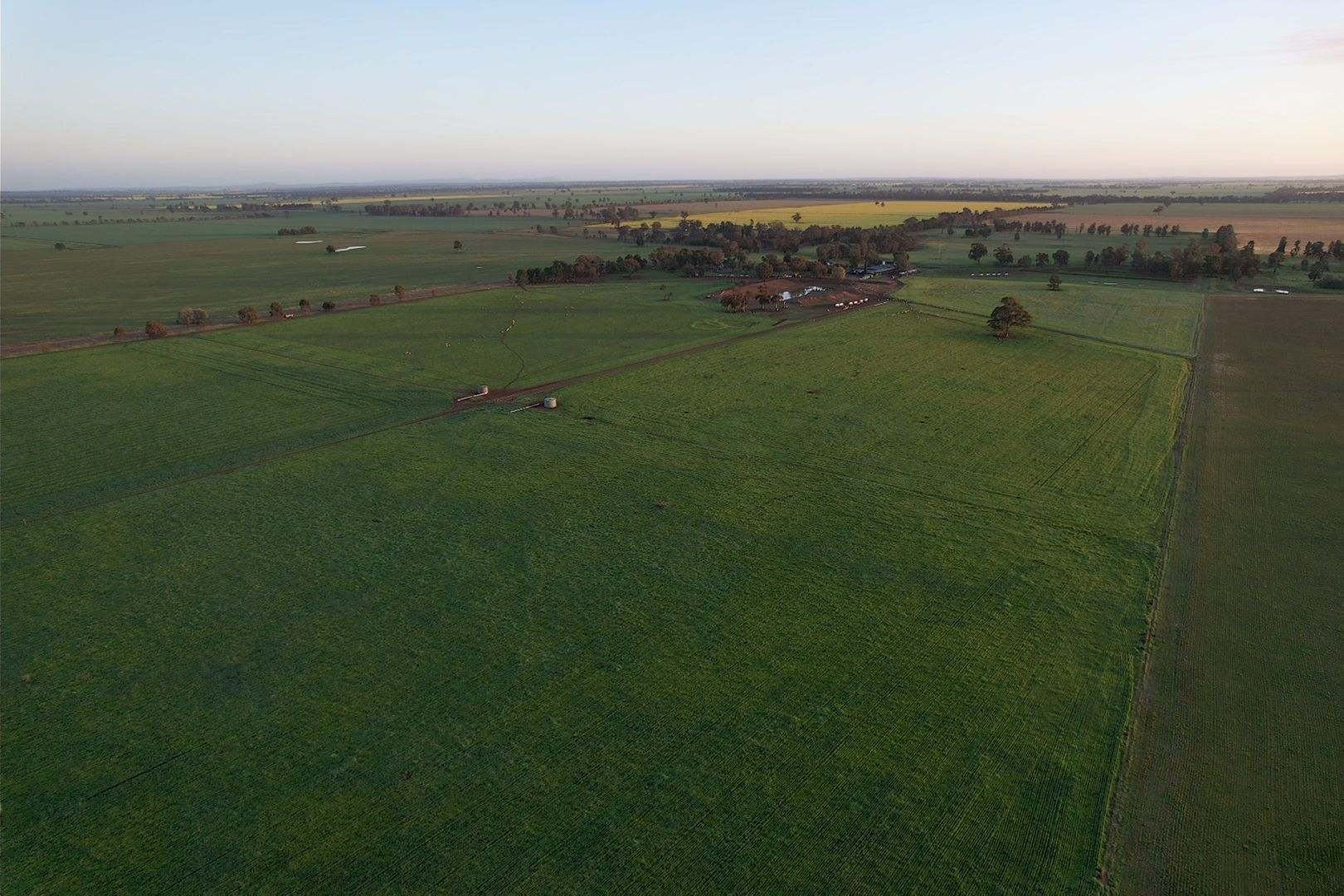 342 Matong North Road, Matong For Sale by Farmbuy.com - image 12
