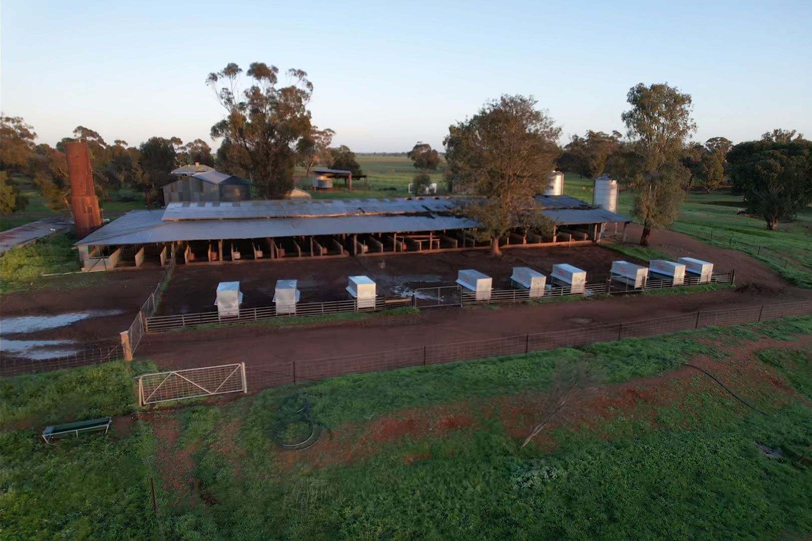 342 Matong North Road, Matong For Sale by Farmbuy.com - image 9