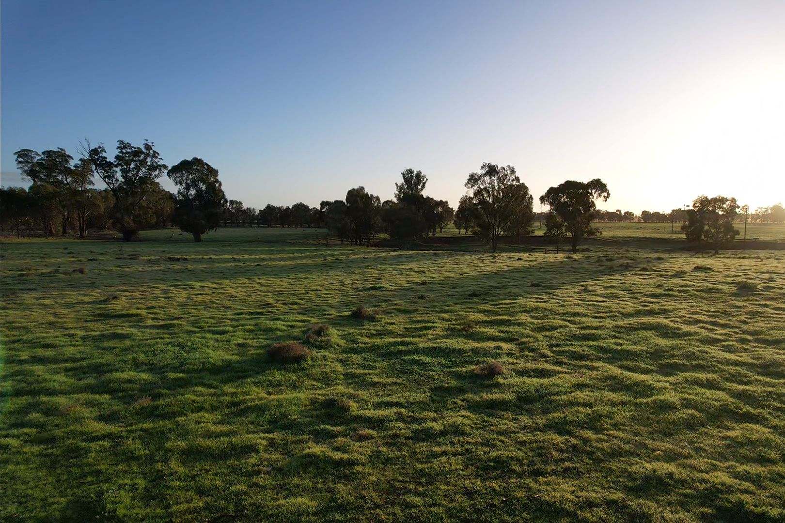 342 Matong North Road, Matong For Sale by Farmbuy.com - image 13