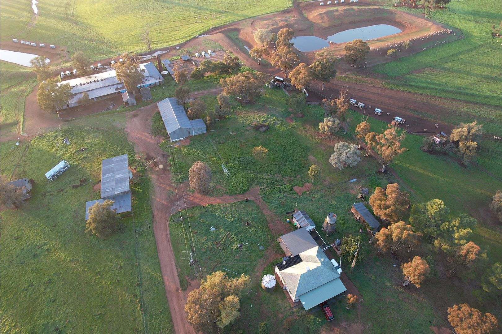 342 Matong North Road, Matong For Sale by Farmbuy.com - image 10