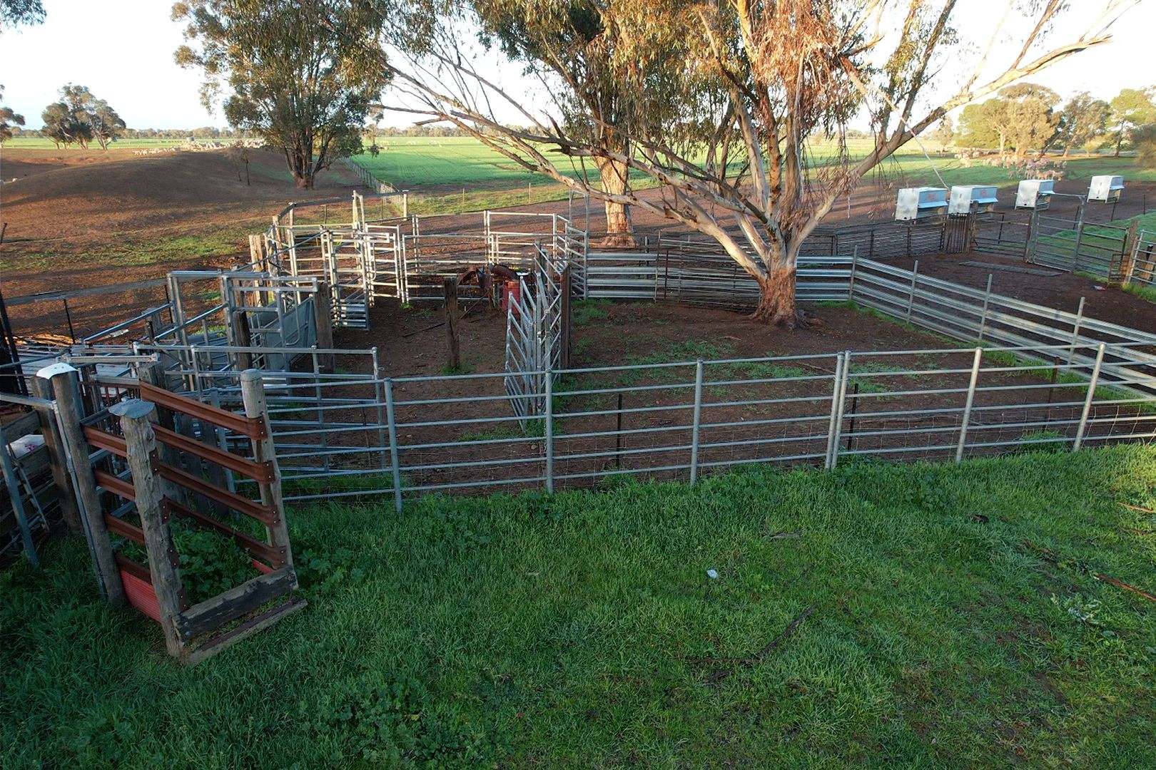 342 Matong North Road, Matong For Sale by Farmbuy.com - image 8