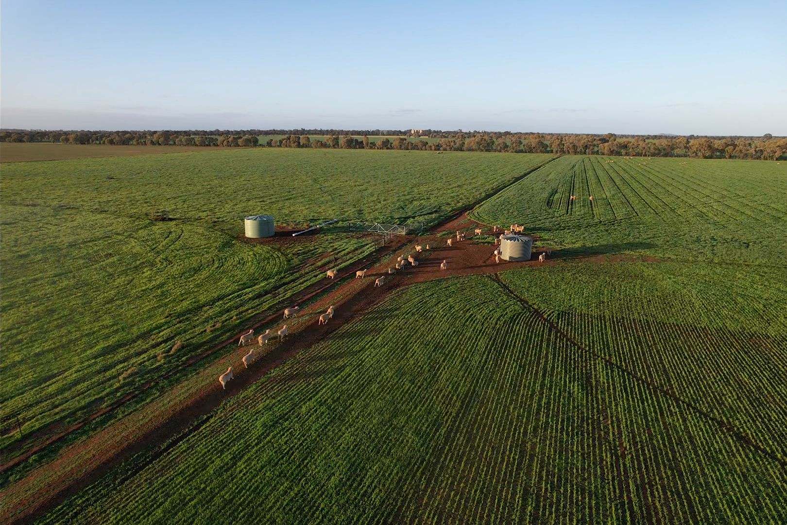 342 Matong North Road, Matong For Sale by Farmbuy.com - image 5
