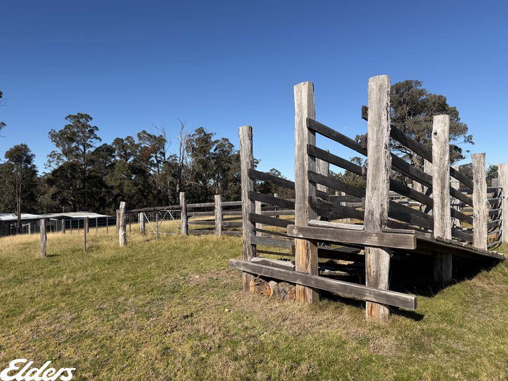 444 Cemetery Road, Briagolong For Sale by Farmbuy.com - image 8