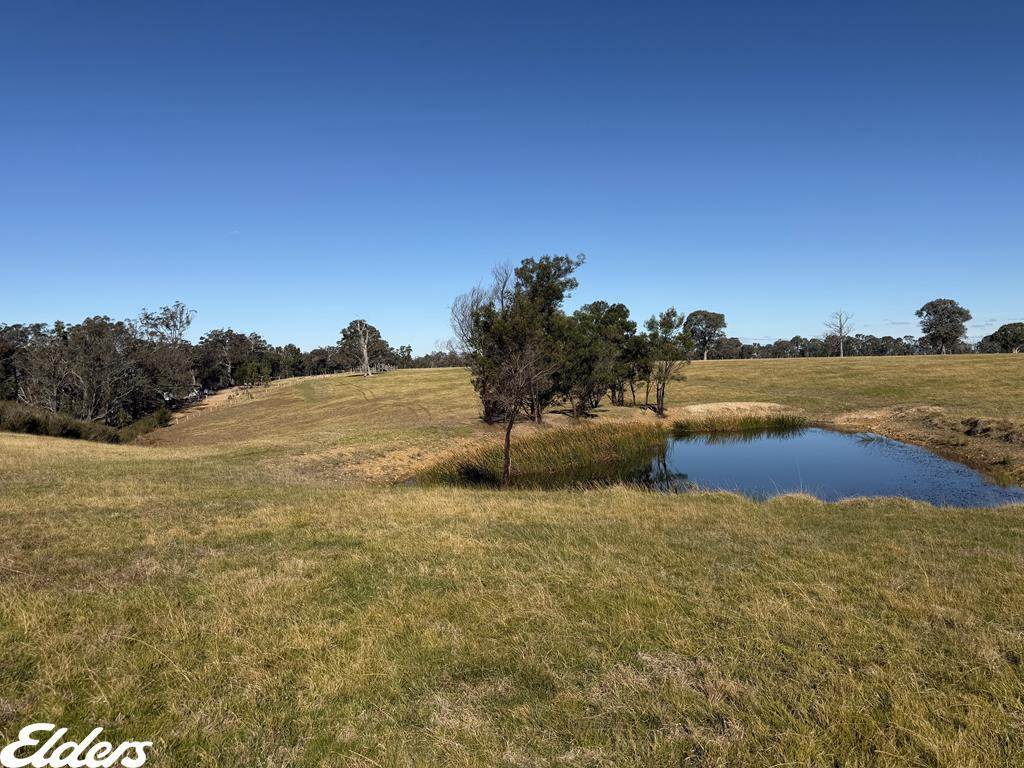 444 Cemetery Road, Briagolong For Sale by Farmbuy.com - image 22