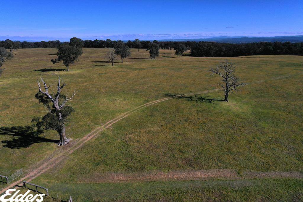 444 Cemetery Road, Briagolong For Sale by Farmbuy.com - image 20