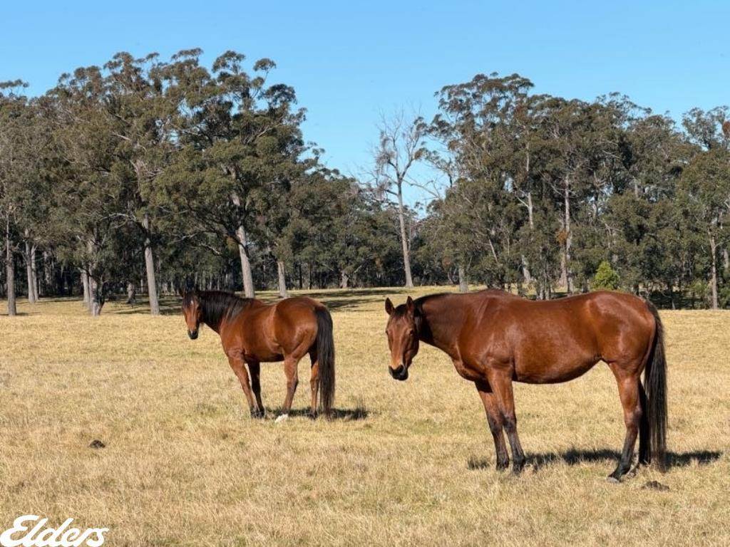 444 Cemetery Road, Briagolong For Sale by Farmbuy.com - image 11