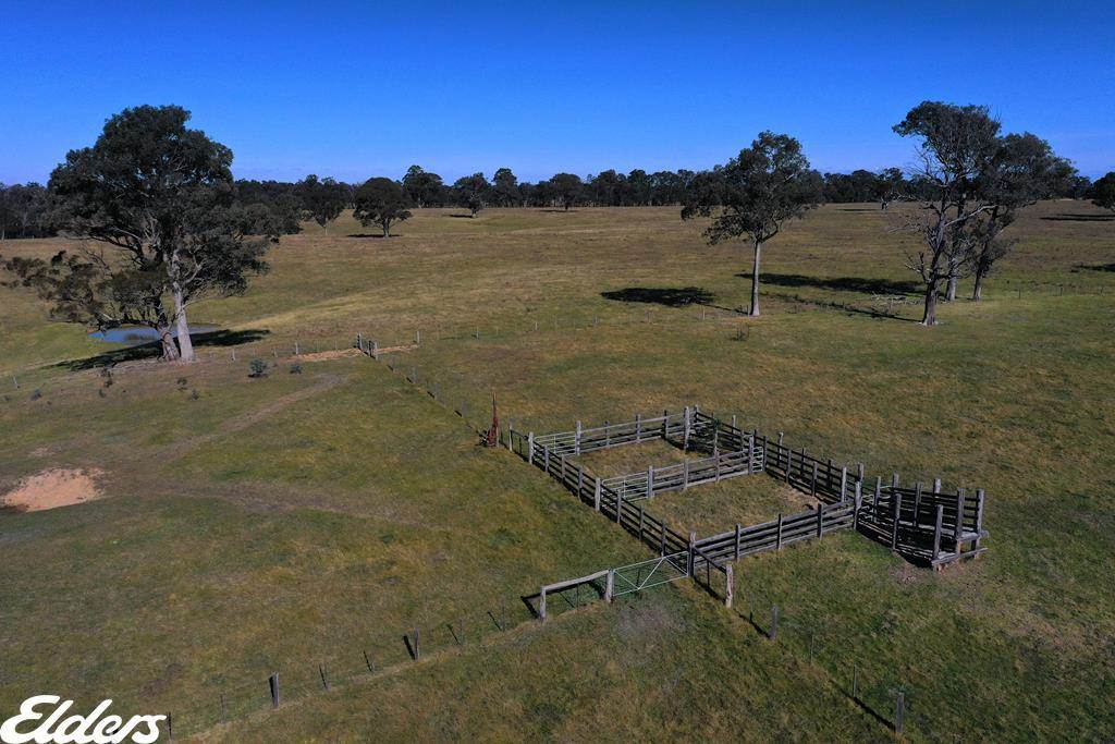 444 Cemetery Road, Briagolong For Sale by Farmbuy.com - image 7
