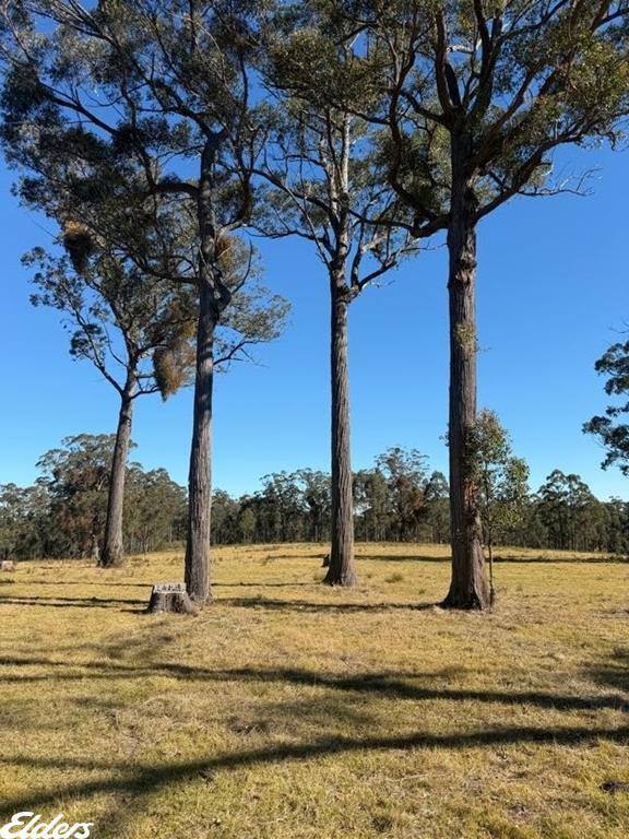 444 Cemetery Road, Briagolong For Sale by Farmbuy.com - image 27