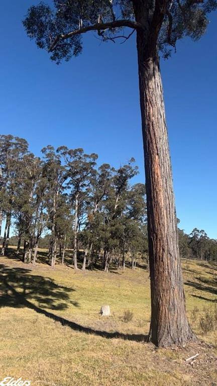444 Cemetery Road, Briagolong For Sale by Farmbuy.com - image 30