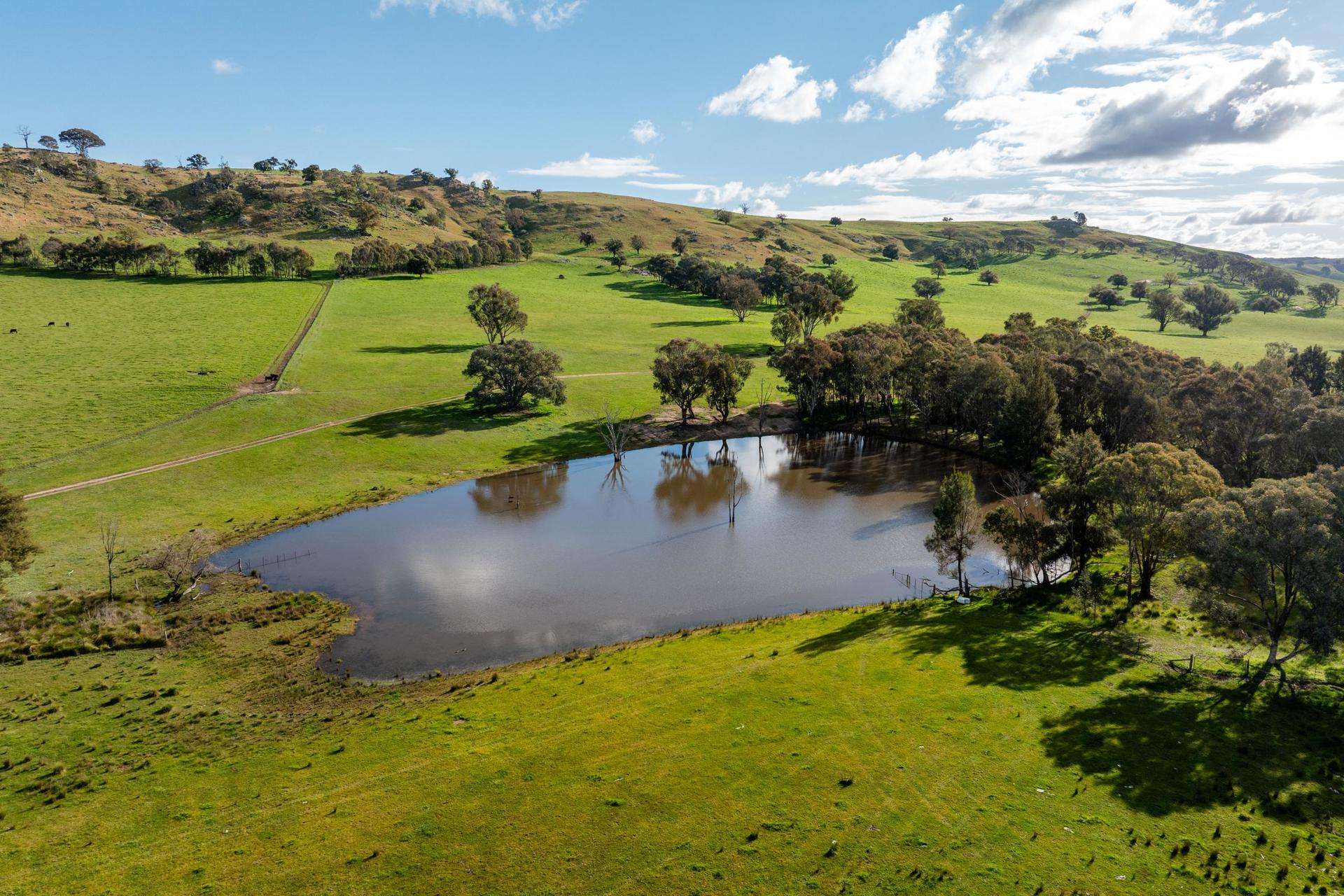 7740 Hume Highway, Kyeamba Auction by Farmbuy.com - image 9