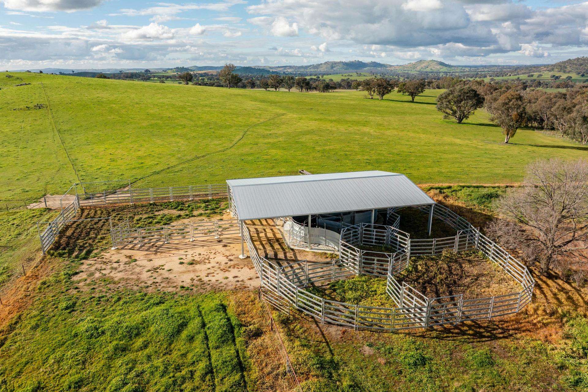 7740 Hume Highway, Kyeamba Auction by Farmbuy.com - image 12
