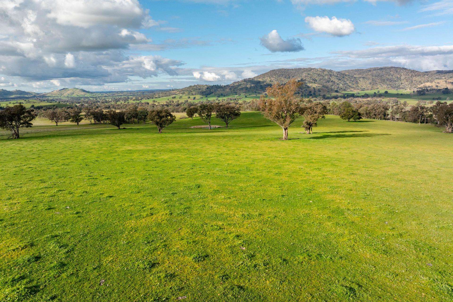7740 Hume Highway, Kyeamba Auction by Farmbuy.com - image 3