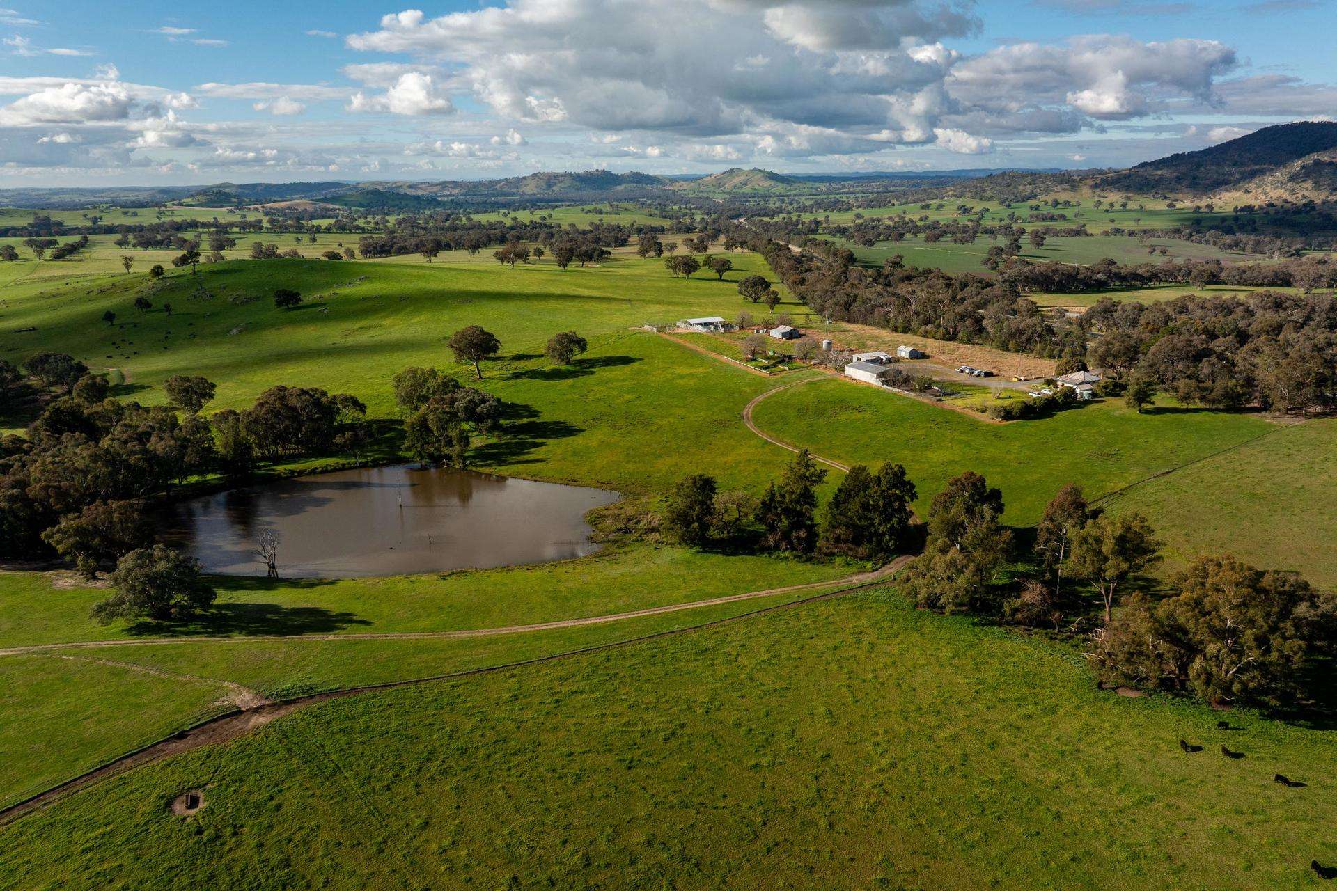 7740 Hume Highway, Kyeamba Auction by Farmbuy.com - image 8