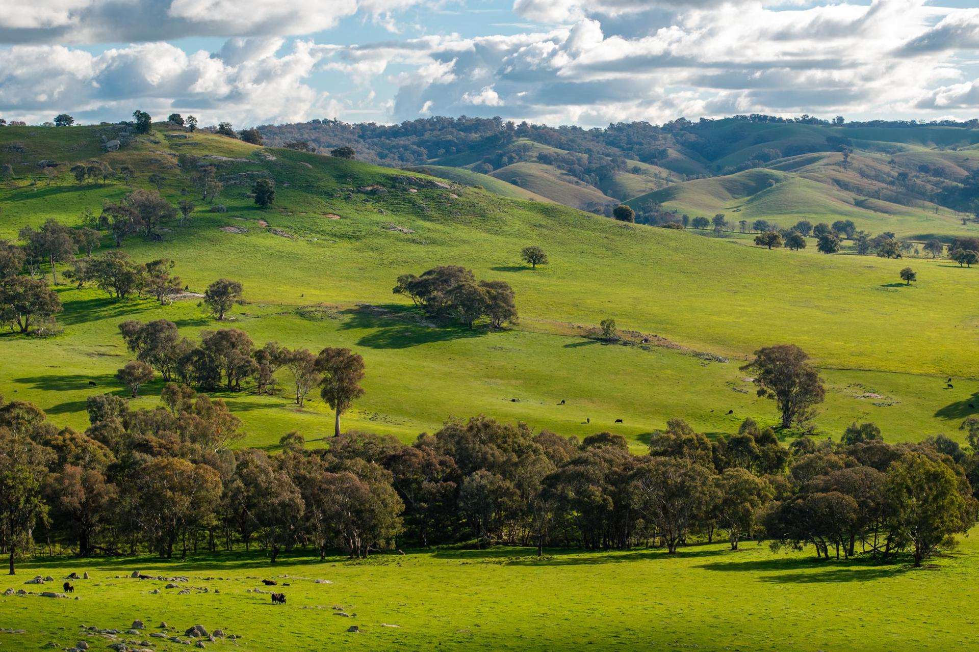 7740 Hume Highway, Kyeamba Auction by Farmbuy.com - image 2