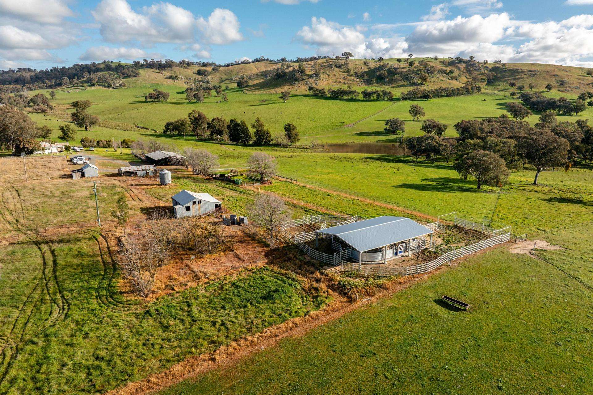 7740 Hume Highway, Kyeamba Auction by Farmbuy.com - image 13