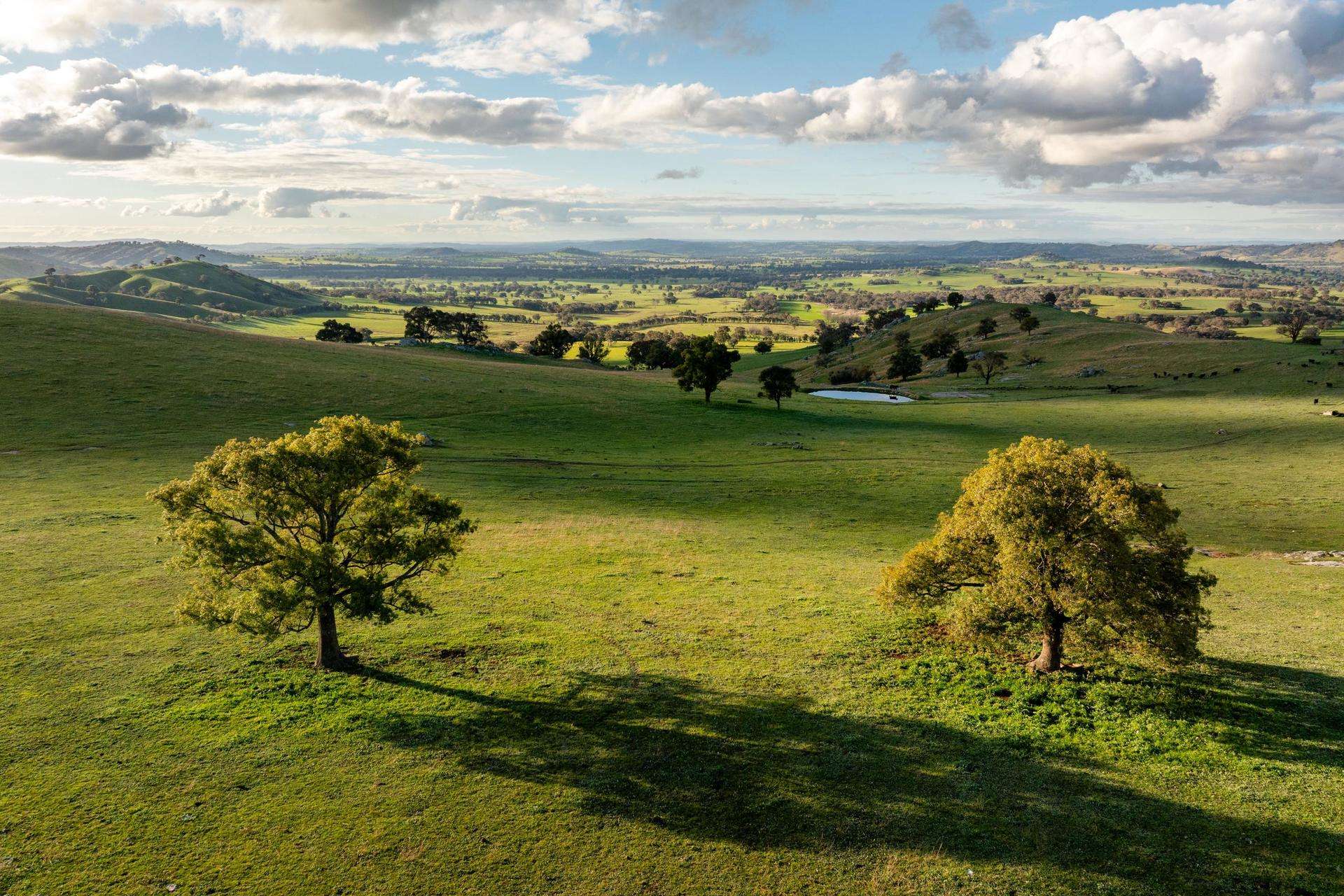 7740 Hume Highway, Kyeamba Auction by Farmbuy.com - image 10