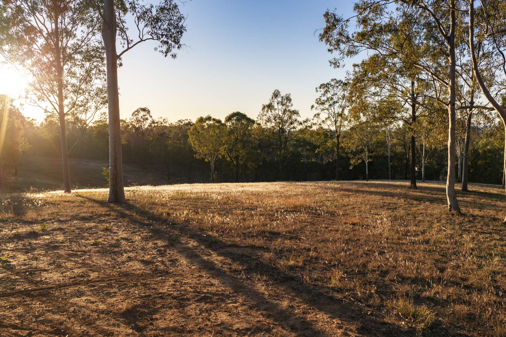 Lot 8,  Valley Court, Withcott For Sale by Farmbuy.com - image 1