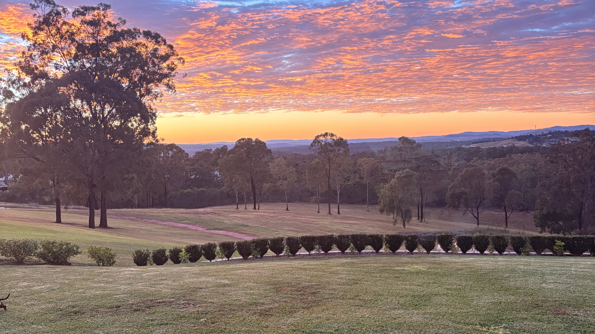 Lot 9,  Valley Court, Withcott For Sale by Farmbuy.com - image 4
