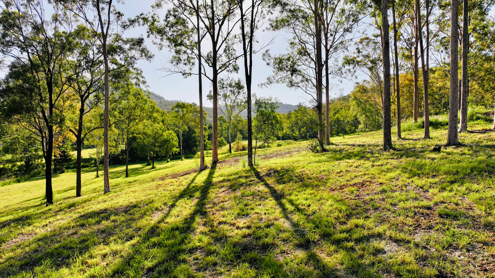 Lot 13,  Valley Court, Withcott For Sale by Farmbuy.com - image 2